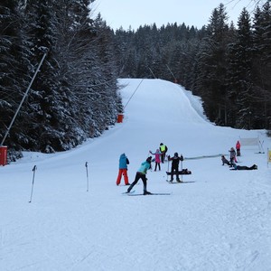 Družina - leden