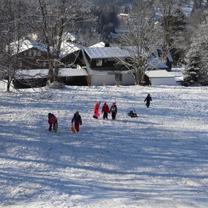 Družina - listopad