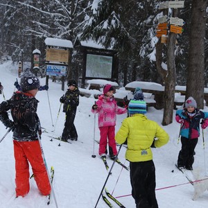 Družina - leden