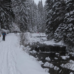 Družina - leden