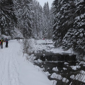 Družina - leden