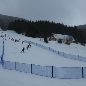 Závody ve sjezdu na lyžích - STOH