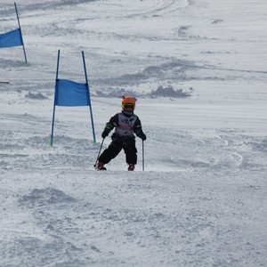 Závody ve sjezdu na lyžích - STOH