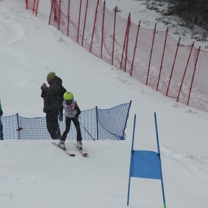 Závody ve sjezdu na lyžích - STOH