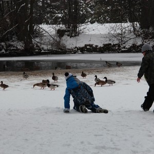 Školní družina