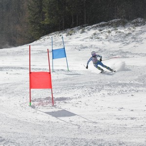 Závody ve sjezdu na lyžích - STOH