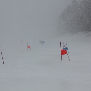 Závody ve sjezdu na lyžích - STOH