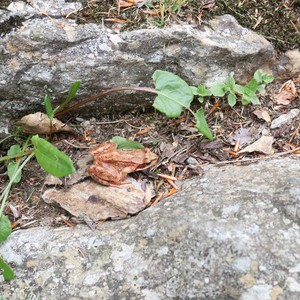 Třetí třída - lezení na skále