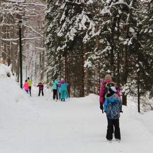 Školní družina