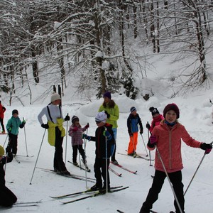 Školní družina