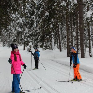 Školní družina